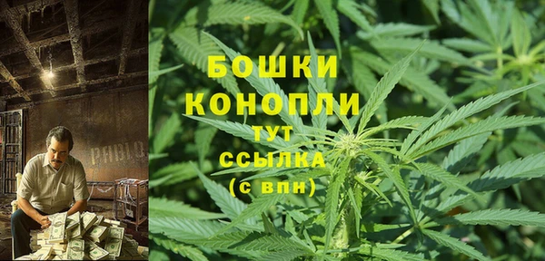PSILOCYBIN Болотное