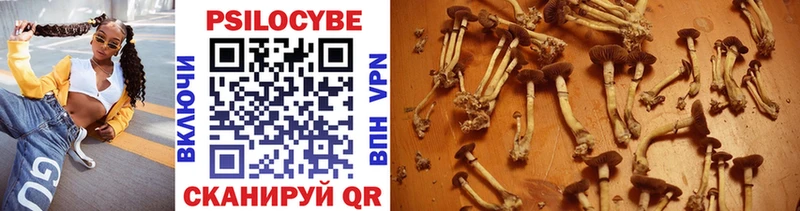 купить наркоту  Наро-Фоминск  Псилоцибиновые грибы Magic Shrooms 
