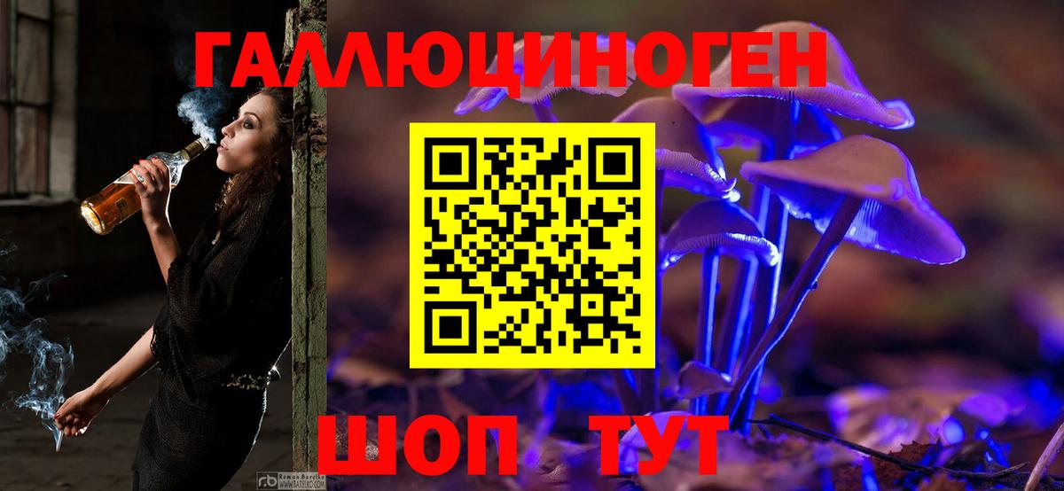 Наро-Фоминск  Галлюциногенные грибы мицелий  Вход с VPN  Псилоцибиновые грибы прущие грибы 